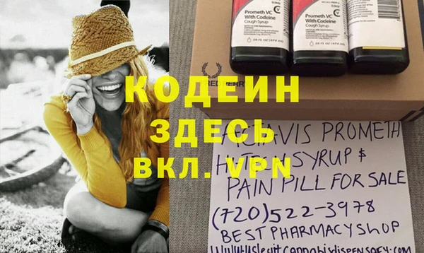 сатива Аркадак