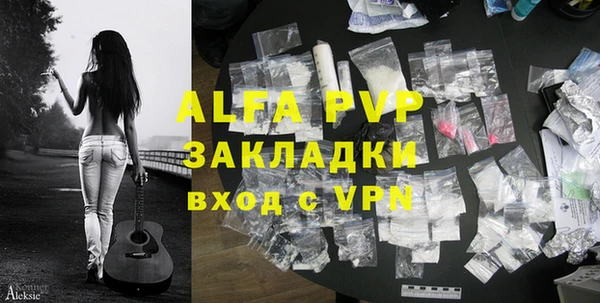 сатива Аркадак