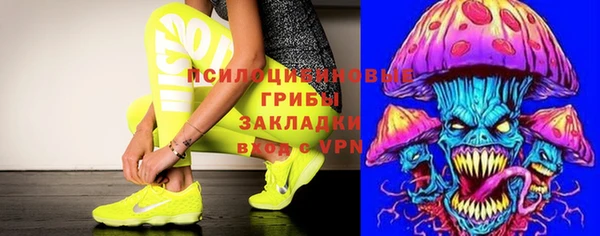 сатива Аркадак