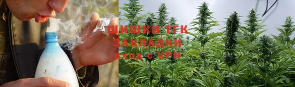 сатива Аркадак